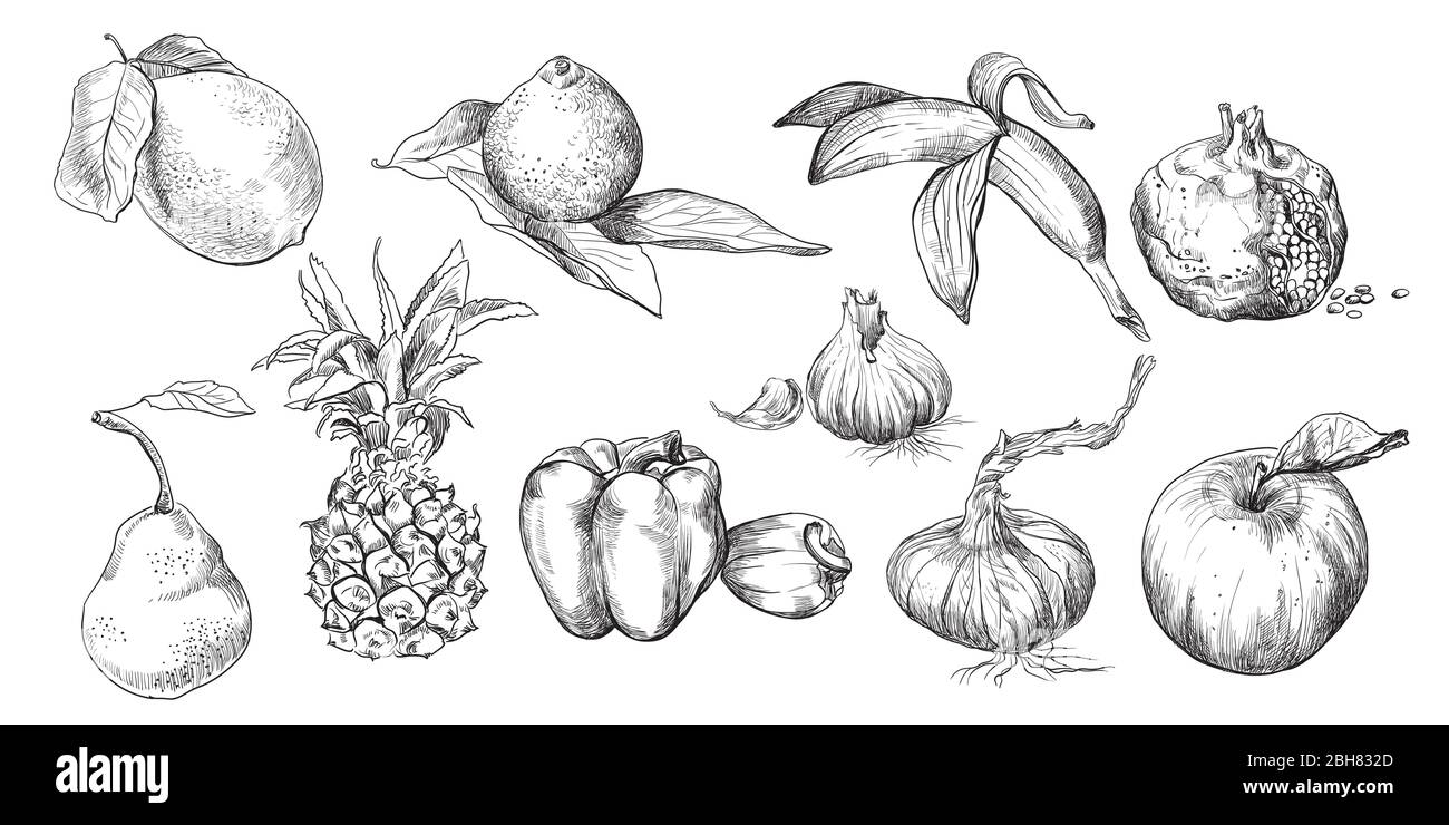 Set Fruits Vegetables Illustration Pencil Photos Set Fruits