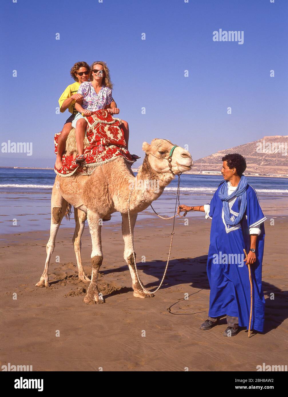 Pilote de chameau avec couple touristique sur la plage d'Agadir, Agadir, Souss-Massa-Draâ Region, Maroc Banque D'Images