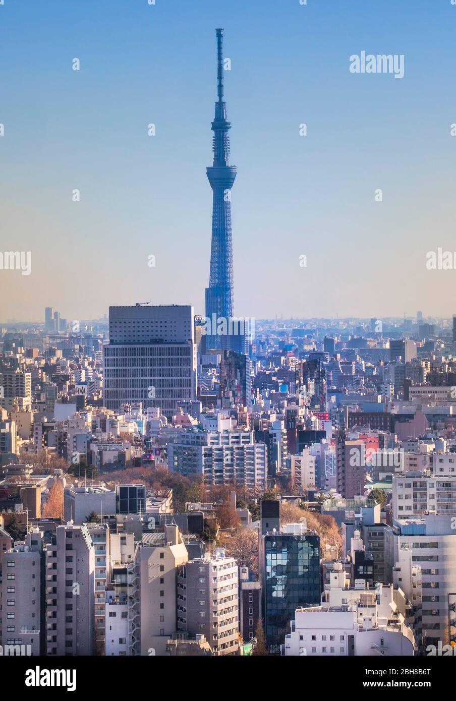 Le Japon, Tokyo Skytree Tower City, Banque D'Images