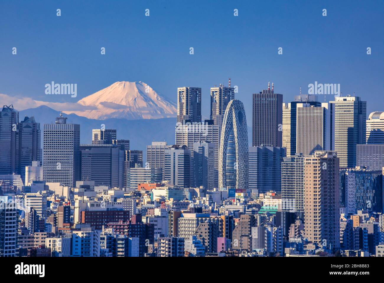 Japon, Tokyo City, Shinjuku Skyline et Mont Fuji Banque D'Images