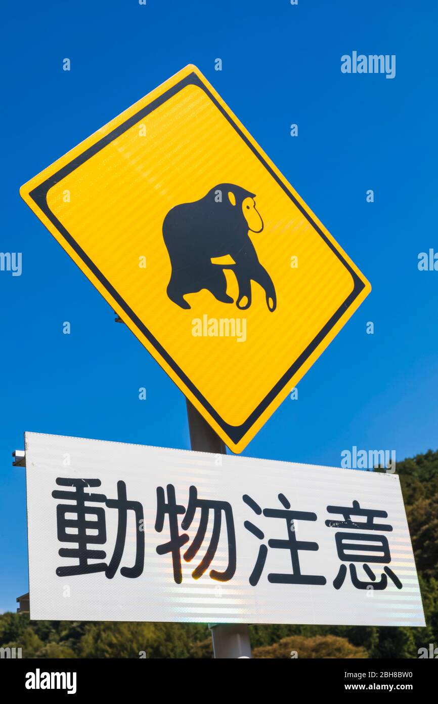 Japon, Honshu, préfecture de Yamanashi, avertissement de panneaux routiers de Monkeys sur la route Banque D'Images