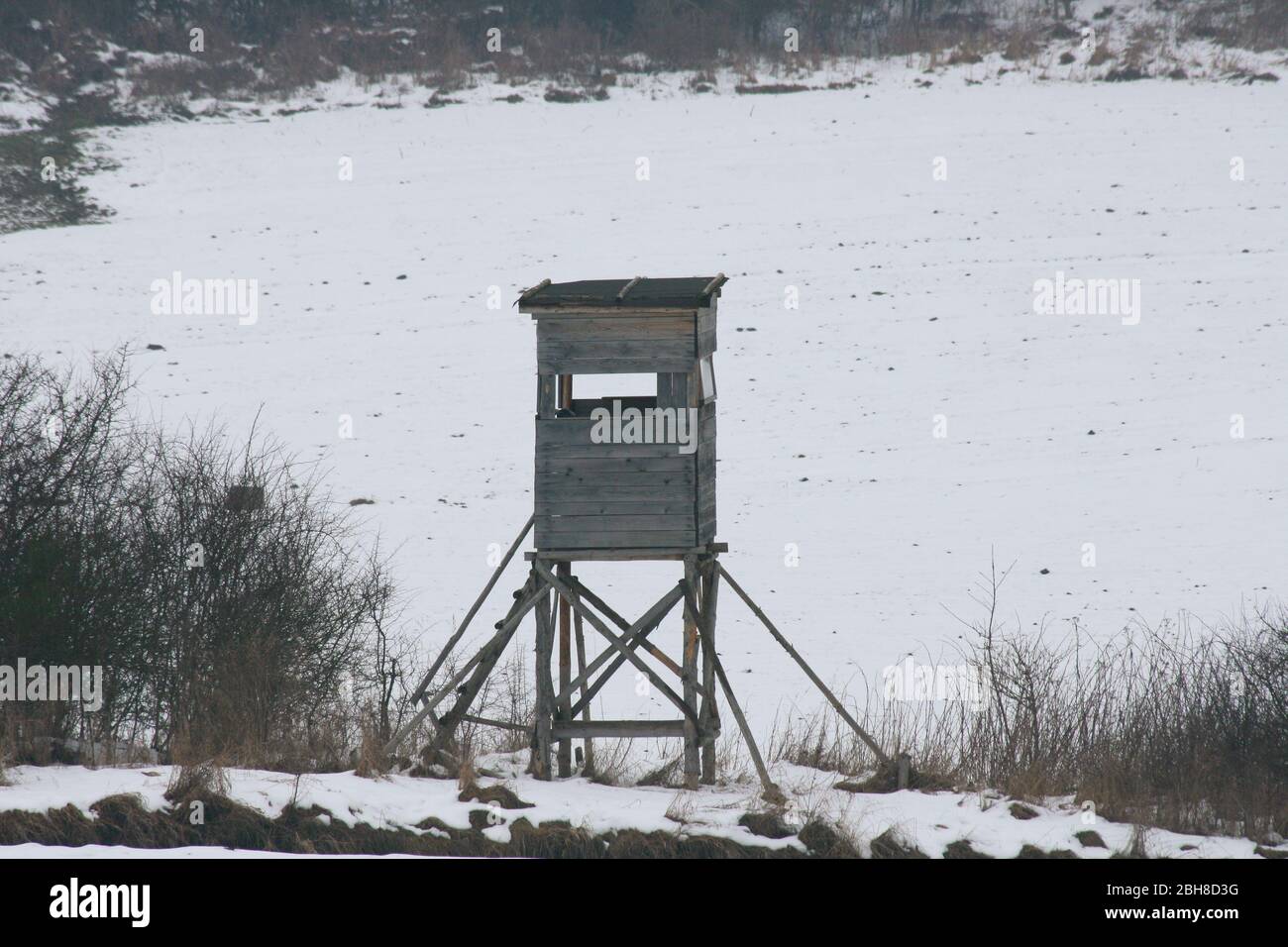 Forêt de vins avec neige et un siège de haute Winterlicher Wald mit Schnee und einem Hochsitz Banque D'Images