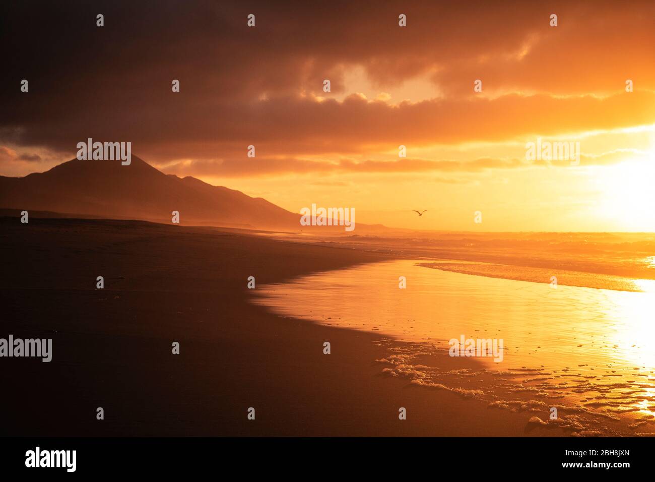 Golden beau coucher de soleil rouge à la plage avec des mouettes volantes pour la liberté et le concept de vacances - personne dans un endroit tropical sauvage pittoresque avec l'océan et les montagnes - calme et paysage de paix sur les côtes de vacances d'été Banque D'Images