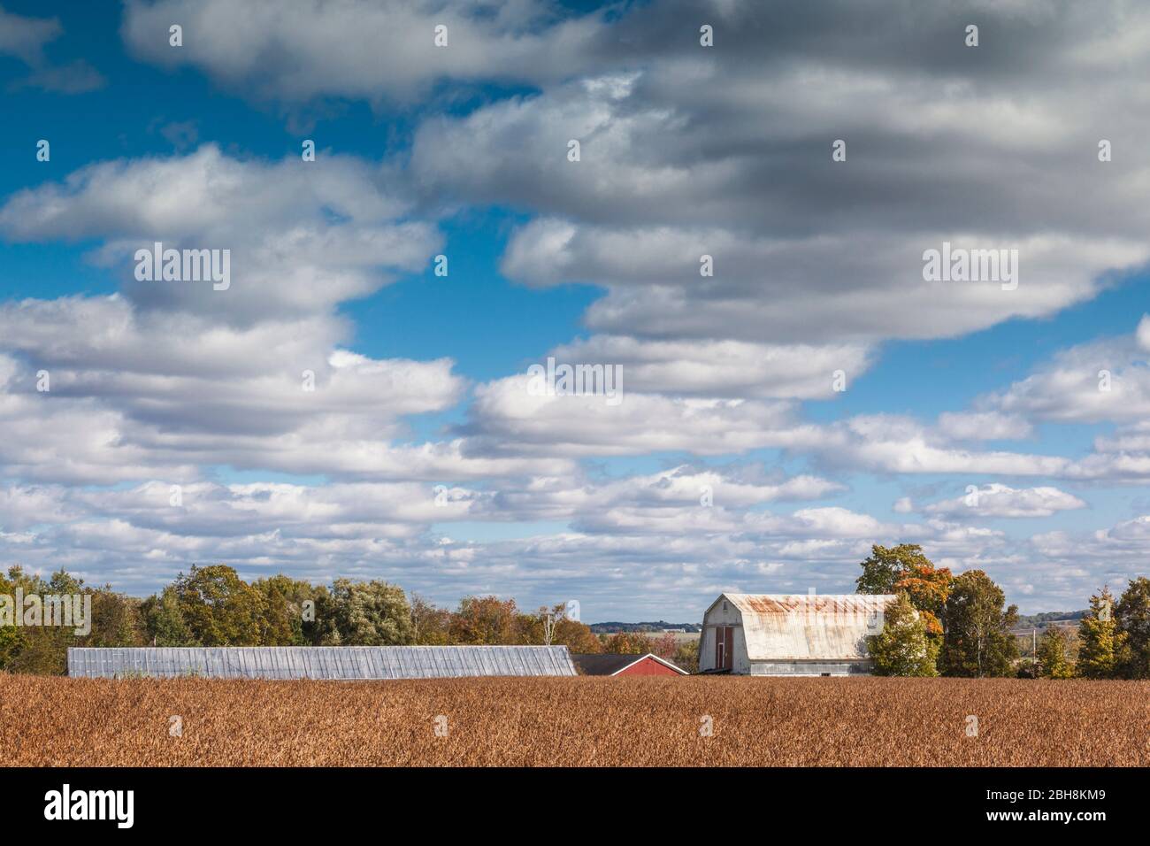Le Canada, la Nouvelle-Écosse, Annapolis Valley, Wolfville, champs agricoles, automne Banque D'Images