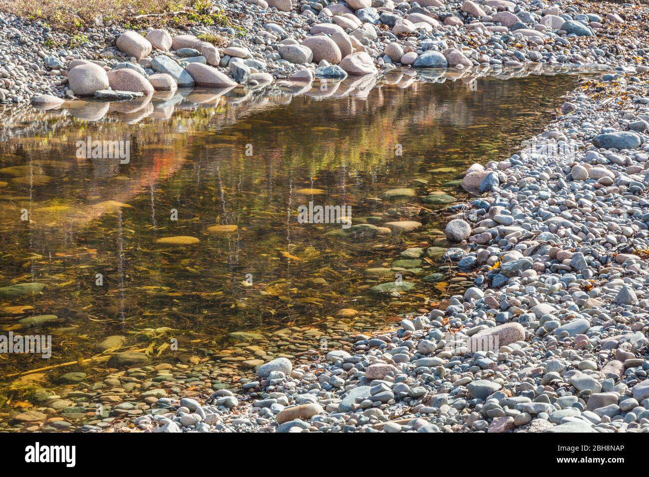 USA (Maine), Mt. Île déserte, Seal Harbour, Cooksey plage, bassin de marée Banque D'Images