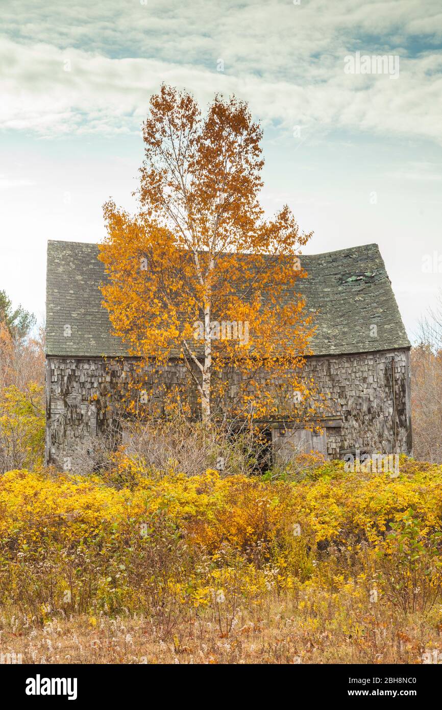 USA (Maine), Blue Hill, grange abandonnée, automne Banque D'Images