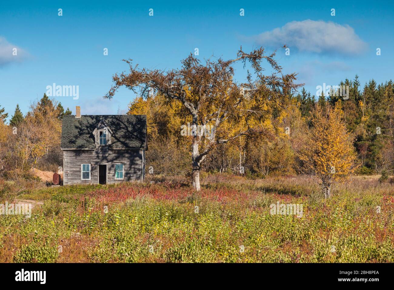 Canada, Nouveau-Brunswick, Détroit de Northumberland, Melrose, ancienne ferme à l'automne Banque D'Images