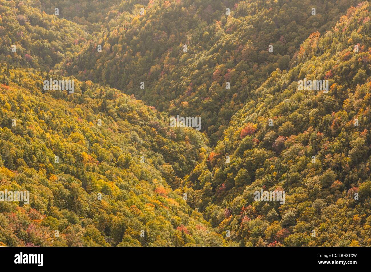 Canada, Nouvelle-Écosse, Cabot Trail, parc national des Hautes-terres-du-Cap-Breton, vue élevée du feuillage d'automne de la montagne MacKenzie Banque D'Images