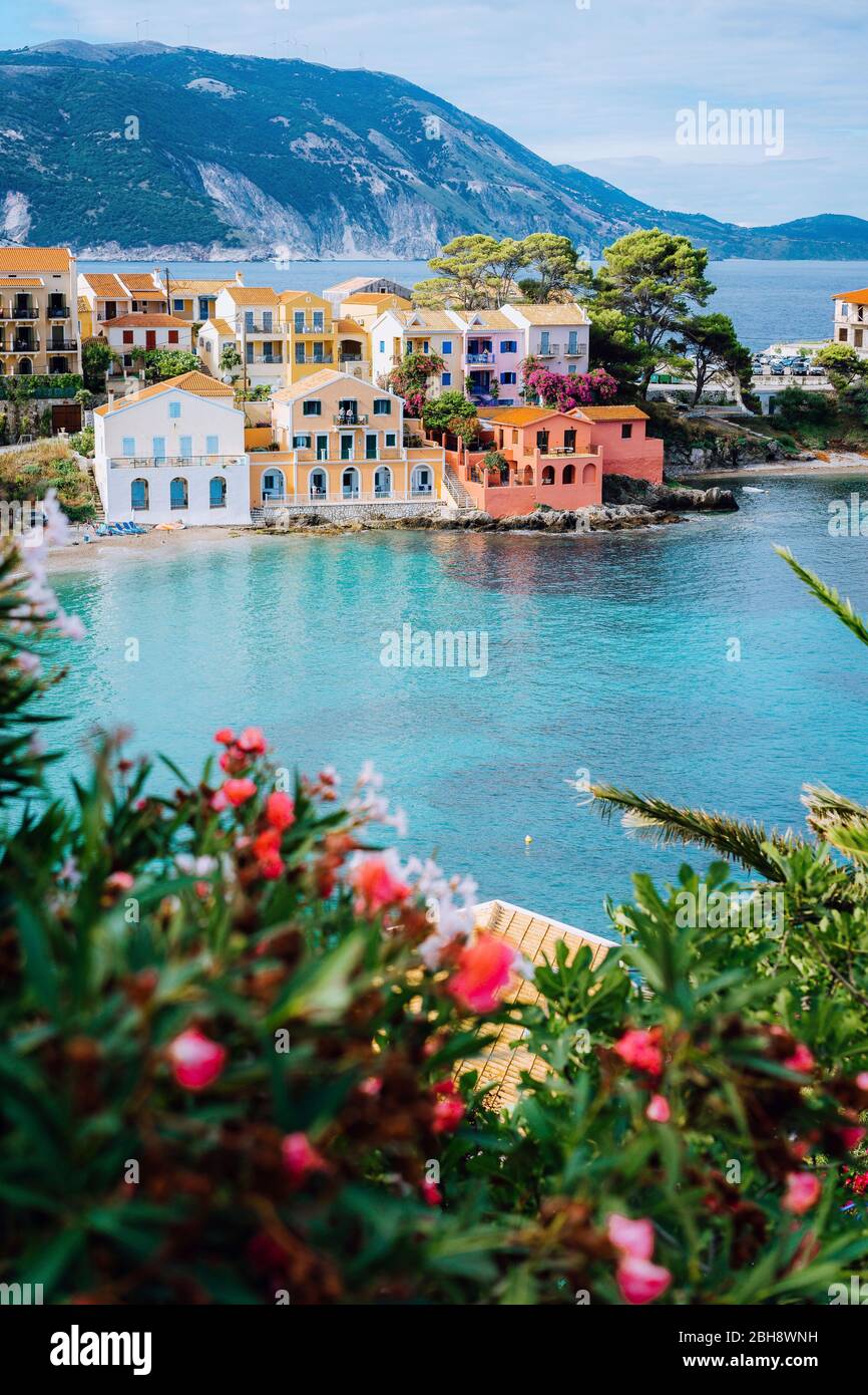 Belles maisons colorées du sud et baie bleue de la mer Méditerranée avec quelques fleurs rouges au premier plan. Village d'Assos à Kefalonia, Grèce. Prise de vue verticale. Banque D'Images