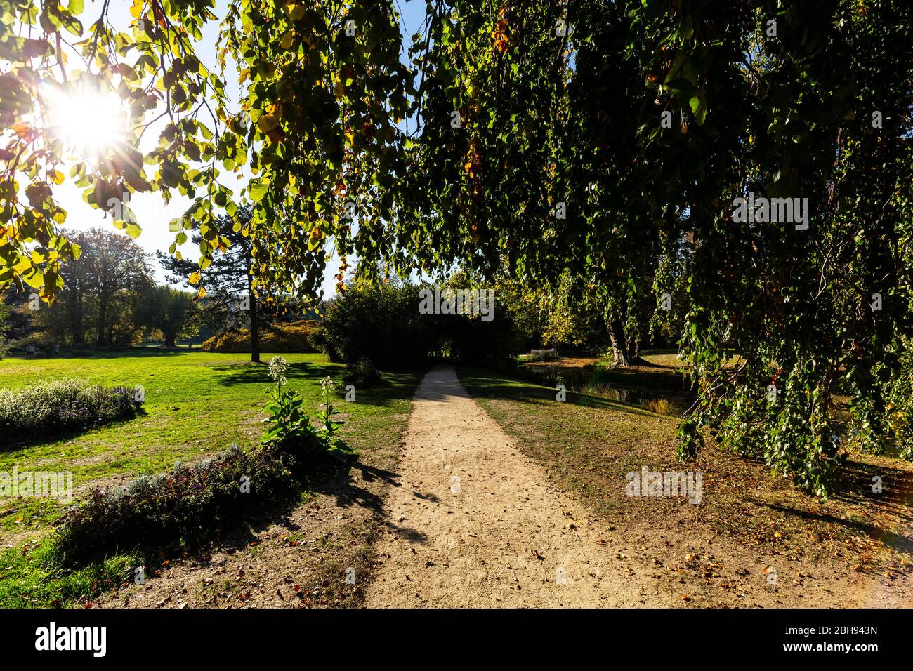 Europe, Allemagne, Parc Muskau / Parc Muzakowski / Parc Muskauer Banque D'Images