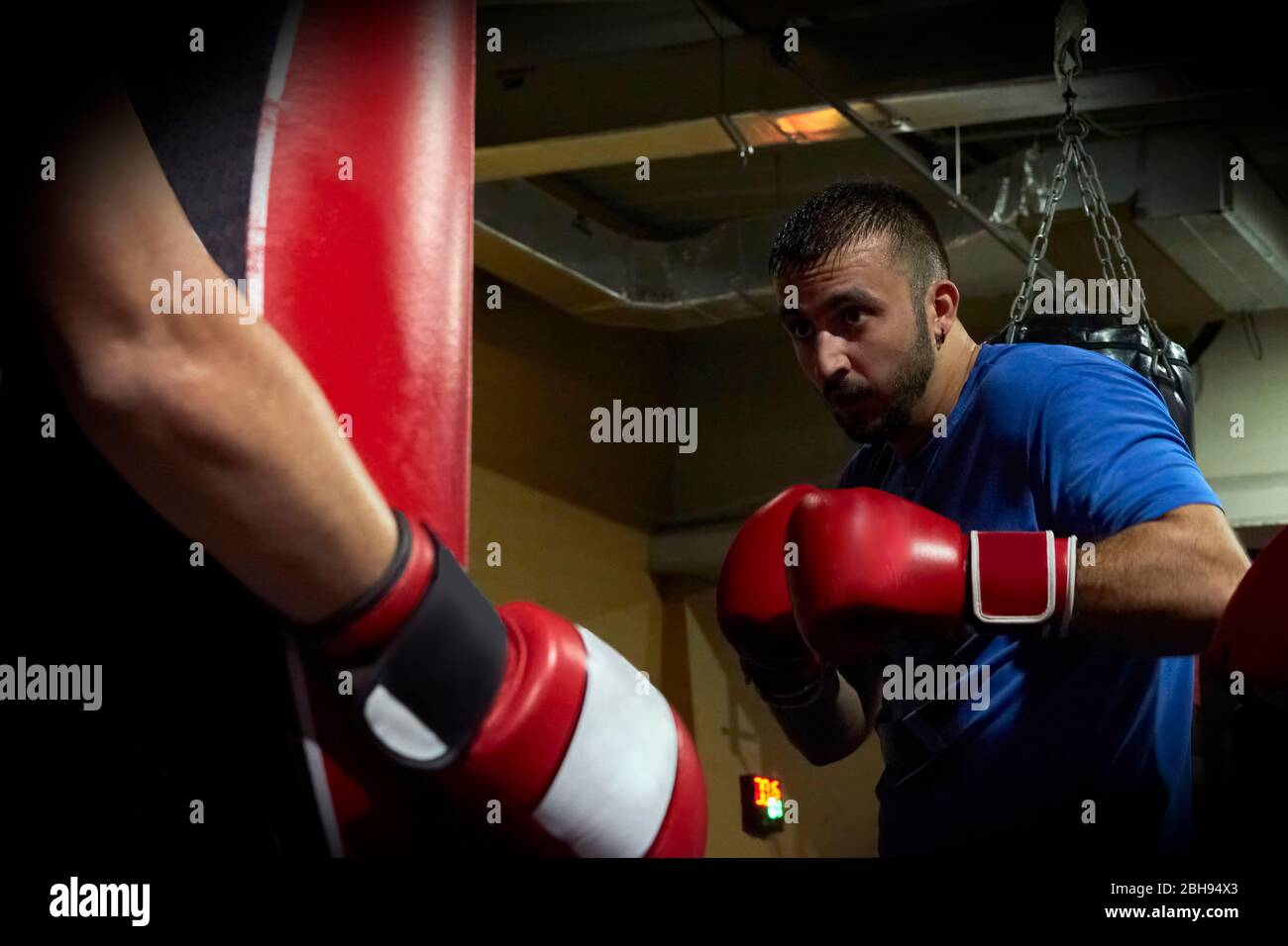 Vue latérale du boxeur homme confiant qui fait de l'exercice dans la salle de sport Banque D'Images