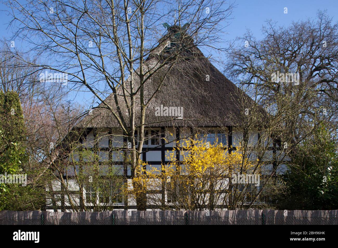 Maison à colombages, ancienne ferme du printemps, Oberneuland, Bremen, Deutschland, Europa Banque D'Images