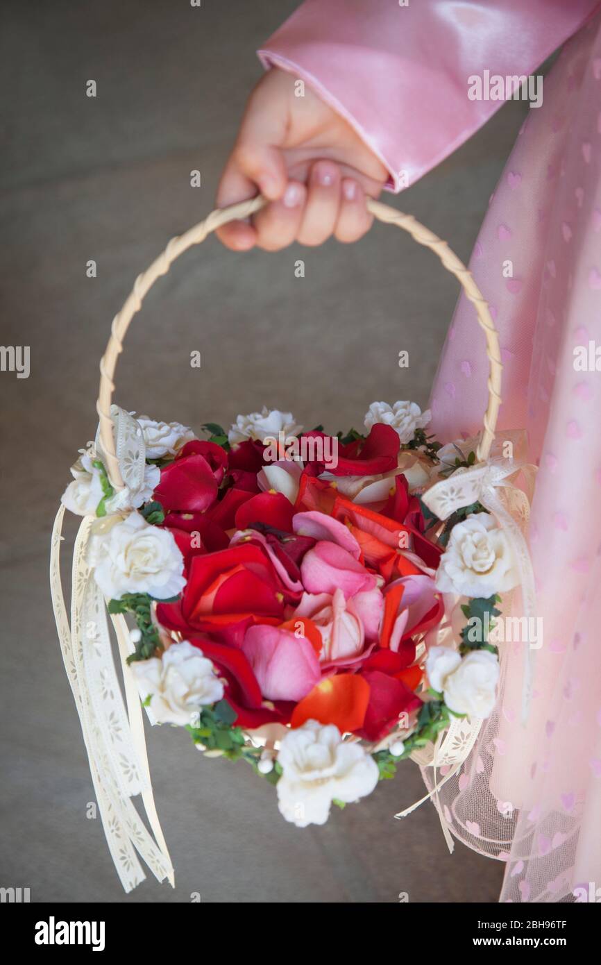 Main de fille avec panier de fleurs, pétales de rose rouge Banque D'Images