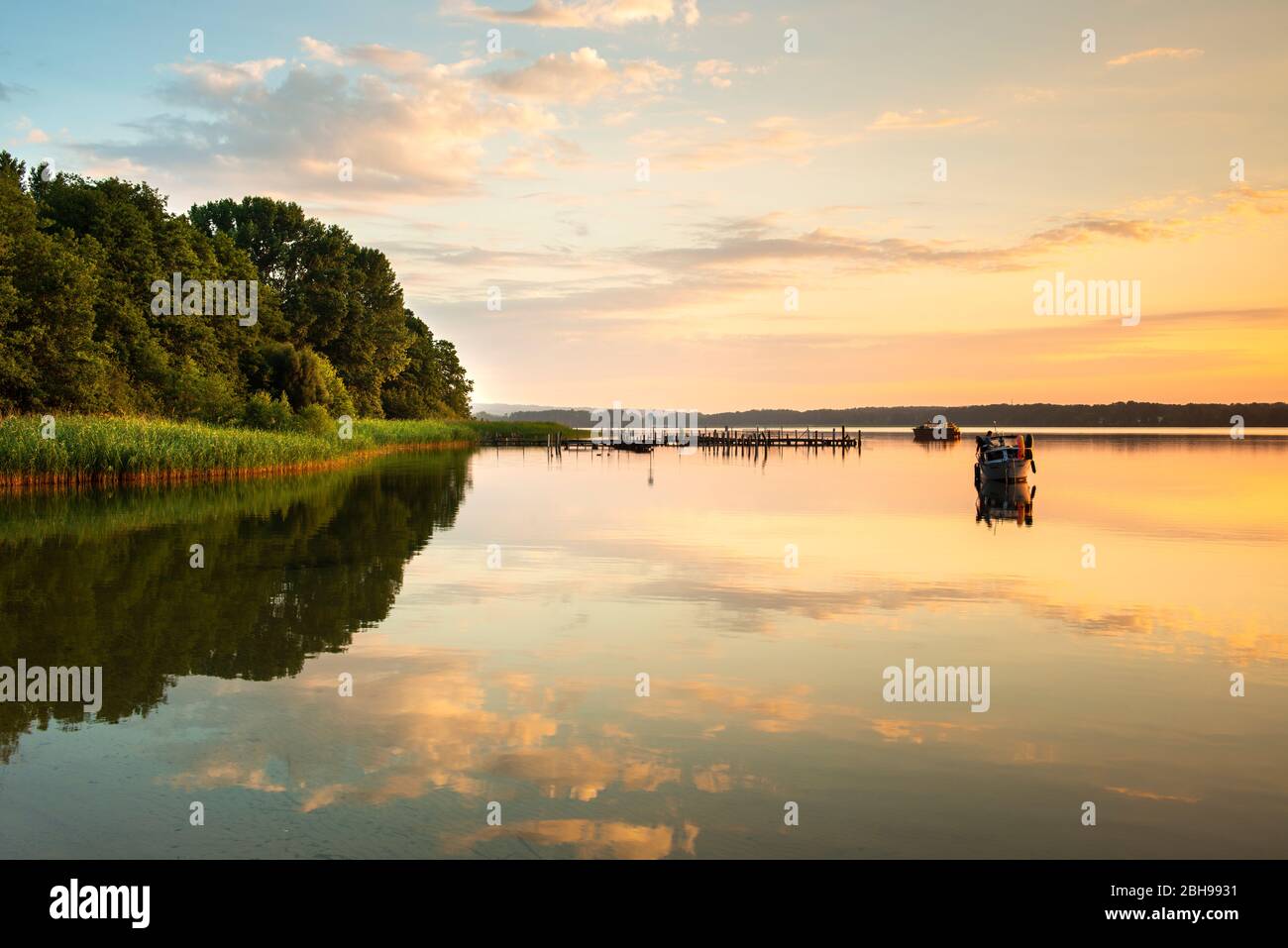 Rive avec roseaux et bateaux le matin, lac Scharmützelsee, Brandebourg, Allemagne Banque D'Images