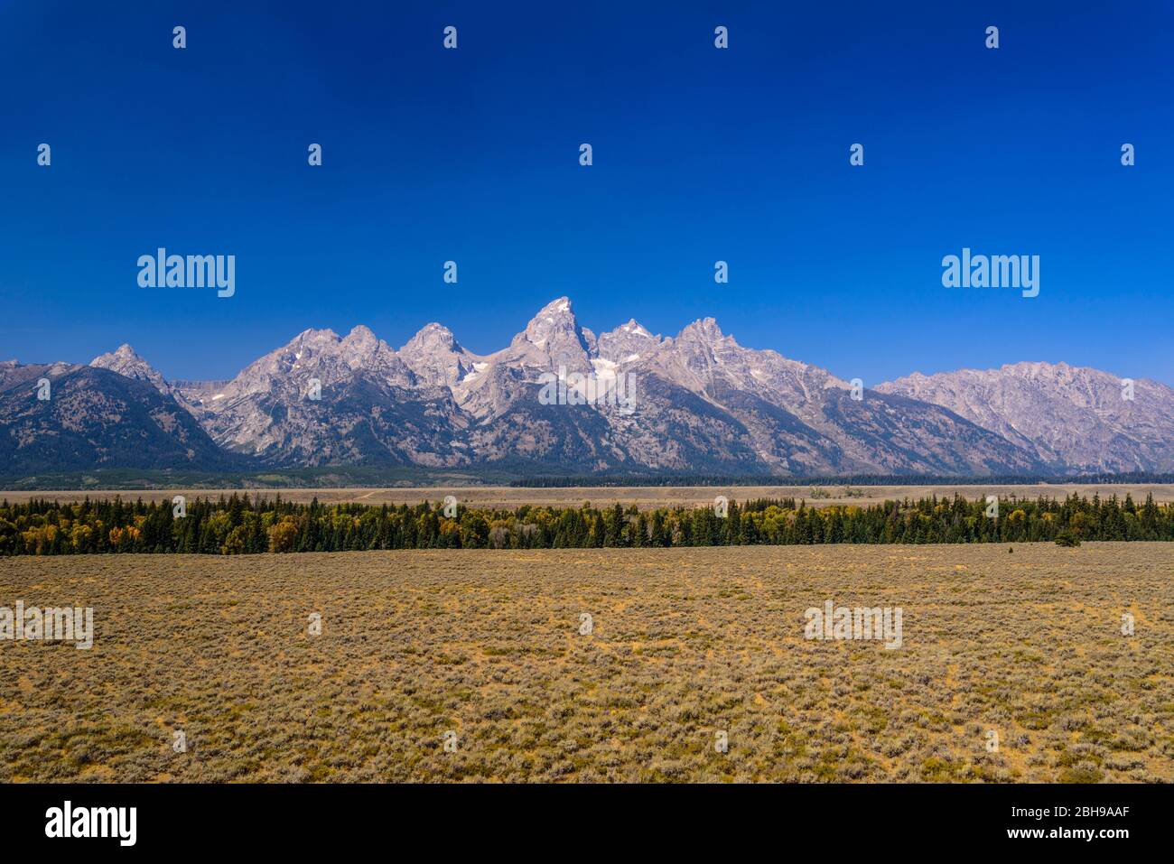 États-Unis, Wyoming, Grand Teton National Park, Moose, Teton Range, Blick vom Glacier View Banque D'Images