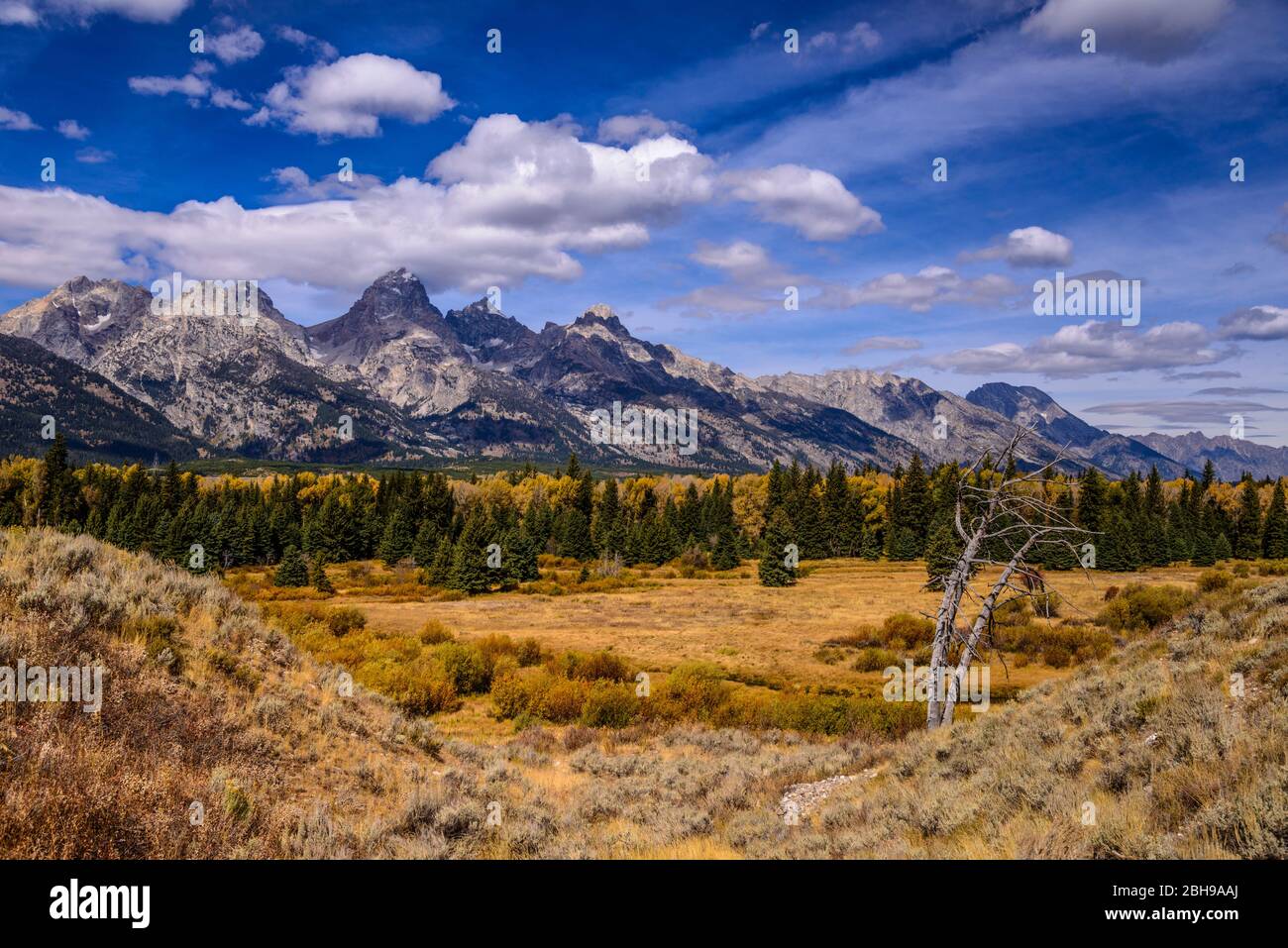 Les États-Unis, le Wyoming, le parc national du Grand Teton, Moose, Teton Range, les étangs Blacktail de Blick vom surplombent Banque D'Images