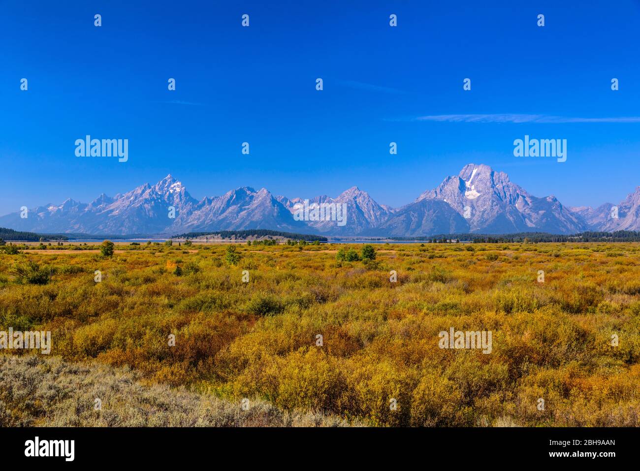 Les États-Unis, le Wyoming, le parc national du Grand Teton, Moose, Teton Range, Blick vom Willow Flats donnent sur Banque D'Images