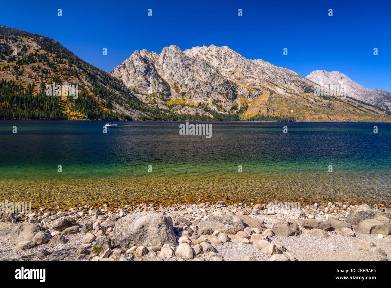 États-Unis, Wyoming, Grand Teton National Park, Moose, Jenny Lake gegen Rockchuck Peak Banque D'Images