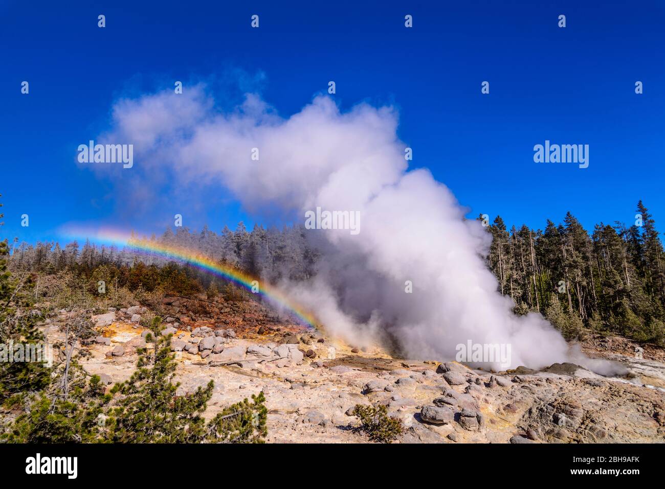 USA, Wyoming, Yellowstone National Park, Norris Geyser Basin, bassin en arrière, Steamboat Geyser Banque D'Images