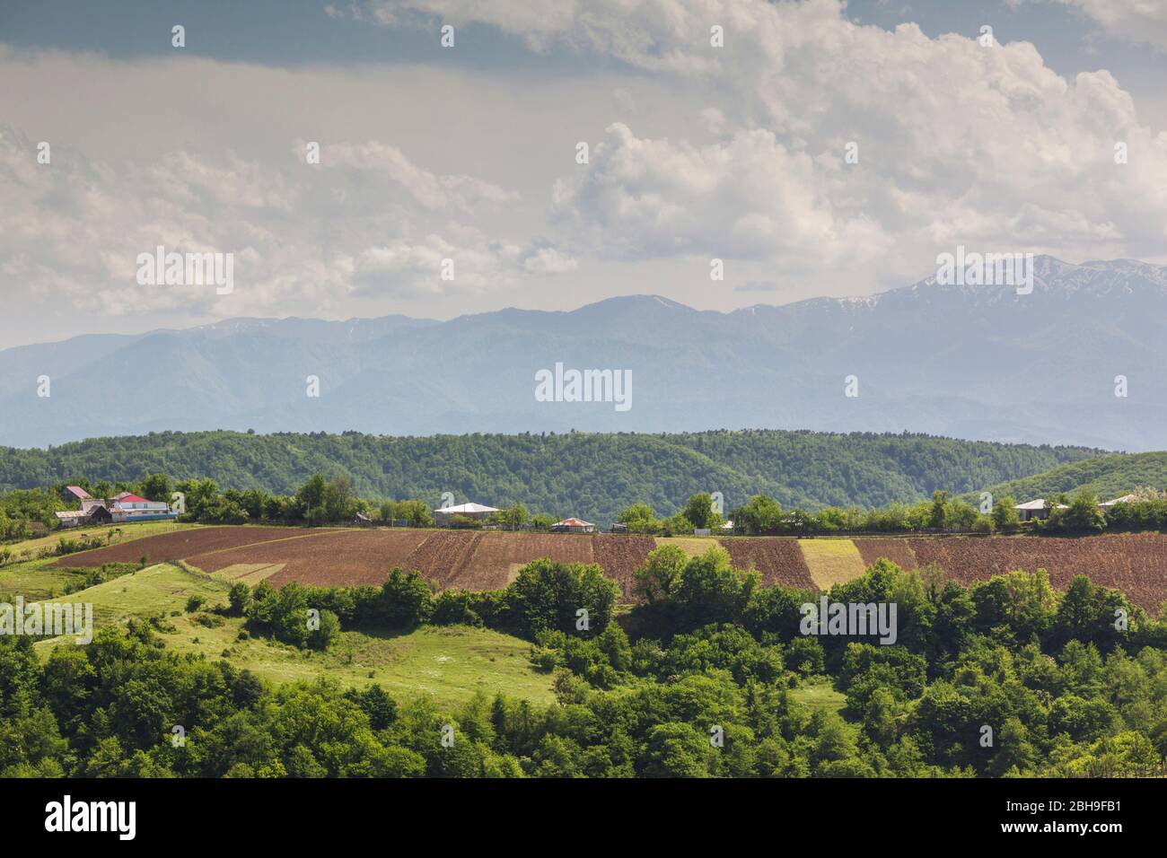 La Géorgie, Dilikauri, campagne, l'été Banque D'Images