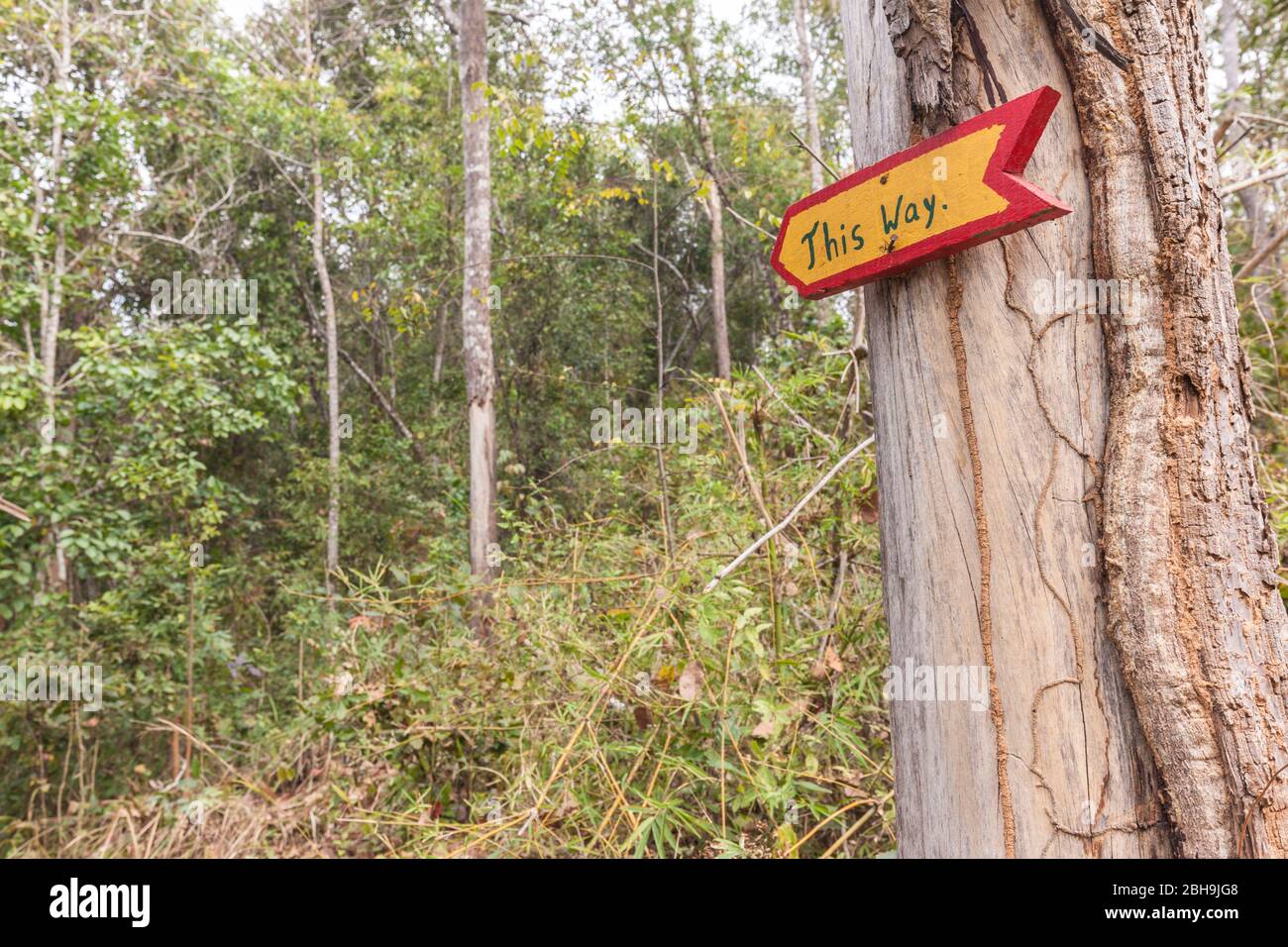 Laos, Sainyabuli, Elephant conservation Center, signes, de cette façon Banque D'Images