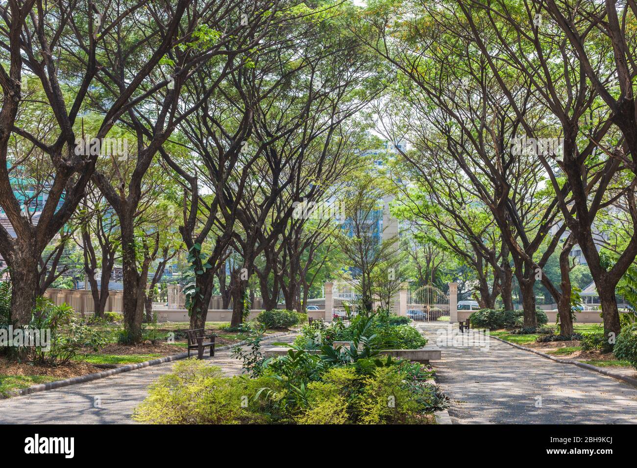 Thaïlande, Bangkok, Sukhumvit Area, le jardin du Chuvit, parc construit par le Chuvit Kamolvisit, le plus grand propriétaire de salon de massage et politicien de Bangkok Banque D'Images