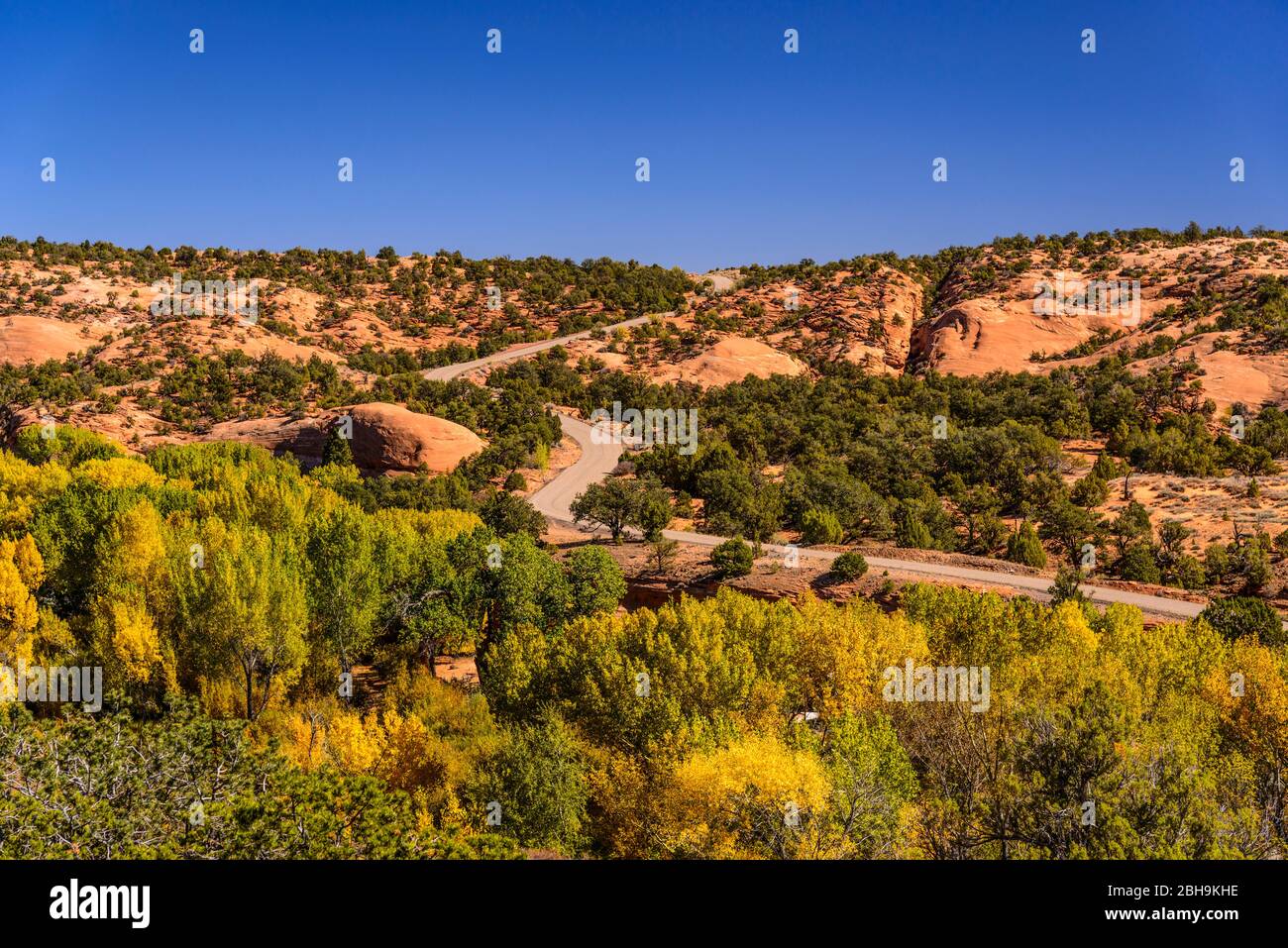 États-Unis, Utah, Comté de Garfield, Grand escalier-Escalante National Monument, Boulder, Burr Trail, Deer Creek Valley Banque D'Images