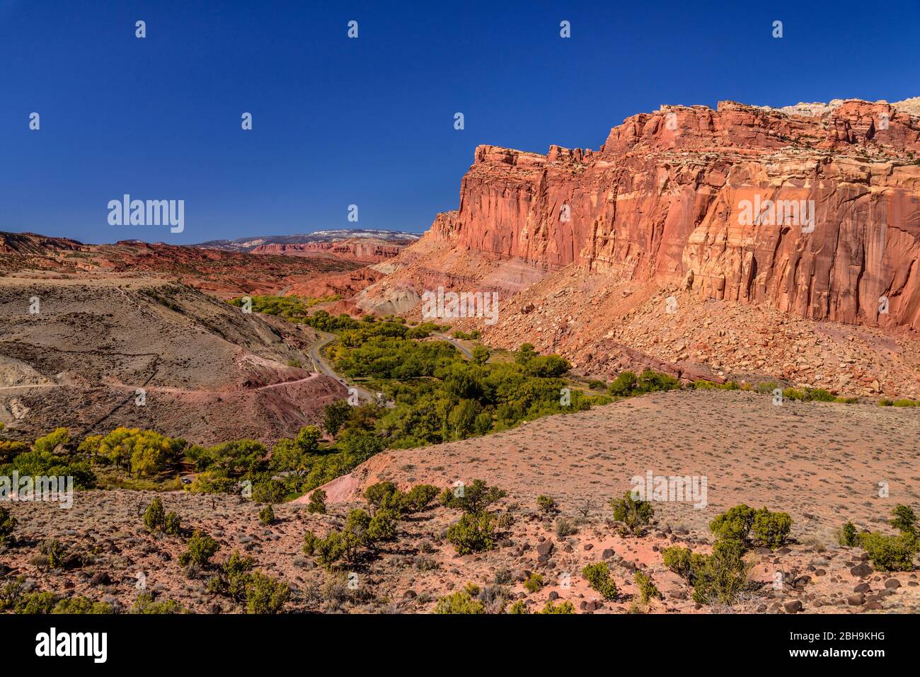 États-Unis, Utah, Wayne County, Torrey, Capitol Reef National Park, Sulphur Creek Valley, Fruita Historic District mit Fruita Cliffs Banque D'Images