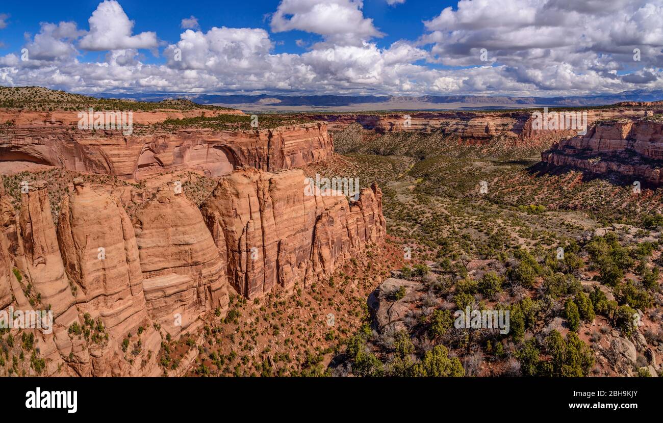 États-Unis, Colorado, Colorado National Monument, Fruita, Monument Canyon mit Coke Ovens, Blick vom Artists point Banque D'Images