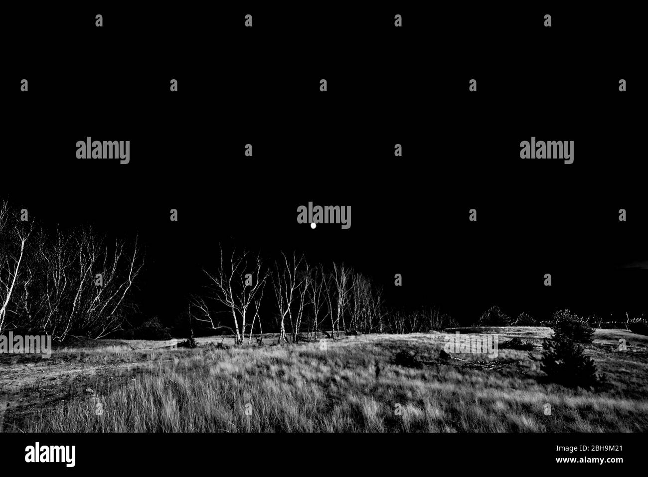 La Lune au-dessus du paysage Banque D'Images