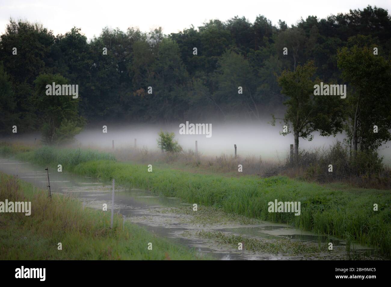 Brume tôt le matin sur une petite rivière Banque D'Images