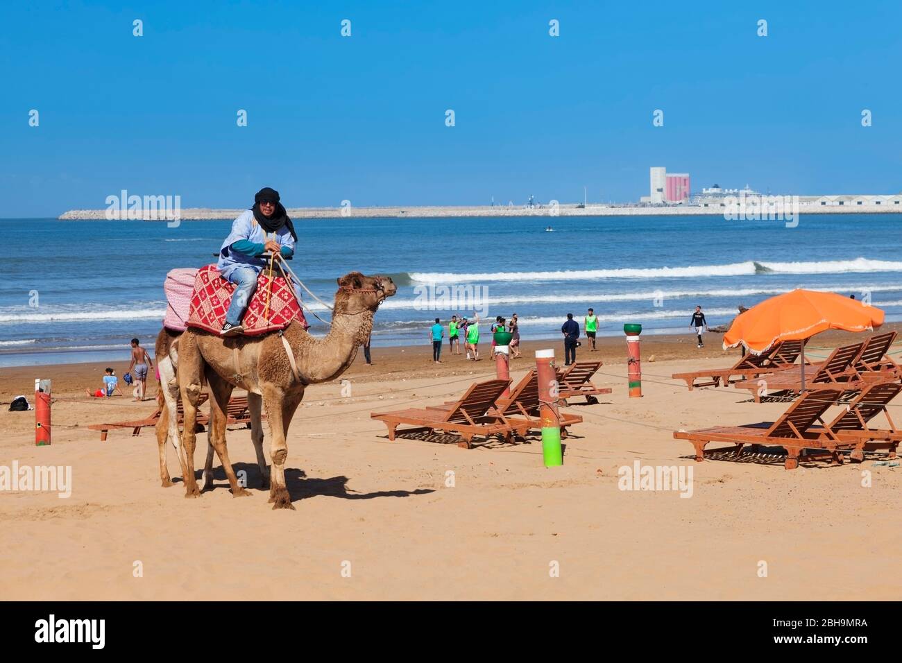 Dromedar am Strand von Agadir, Al-Magagm, Marokko, Afrika Banque D'Images