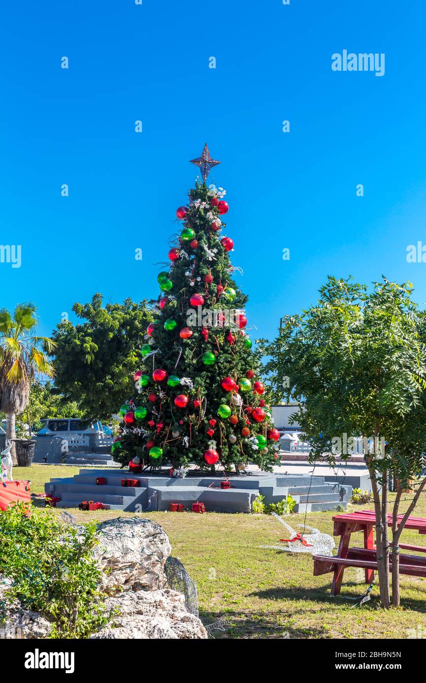Arbre de Noël au centre de Cockburn Town, Grand Turk Island, Iles Turques et Caïques, Amérique centrale Banque D'Images