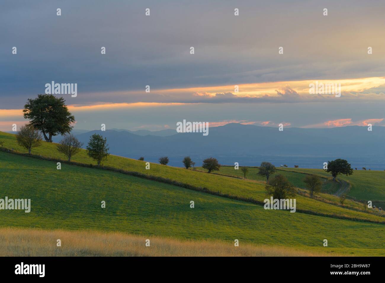 Coucher de soleil sur le paysage, le Mont Schauinsland, Fribourg im Breisgau, Forêt Noire, Bade-Wurtemberg, Allemagne Banque D'Images