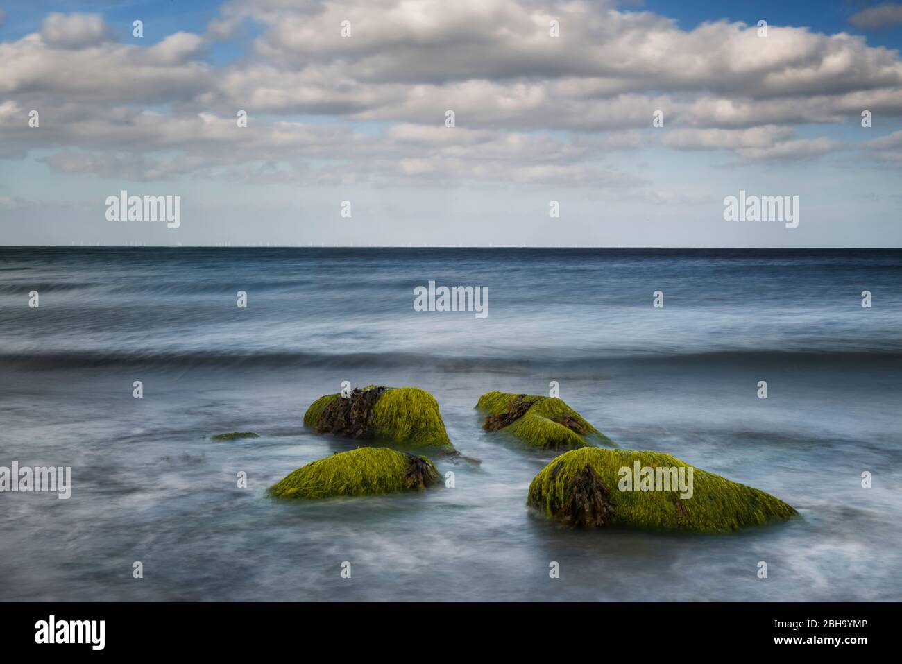 Île Fehmarn, Schleswig-Holstein, Allemagne du Nord, Allemagne, pierres couvertes d'algues sur la plage de la mer Baltique Banque D'Images