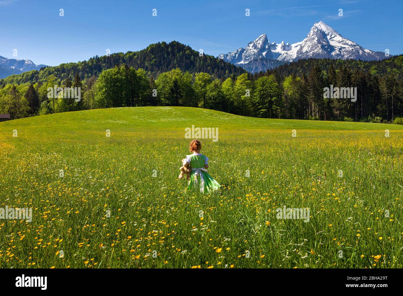 Paysage idyllique de montagne, fille dans la traditionnelle dirndl robe des promenades avec un ours en peluche à travers un pré de fleur Banque D'Images
