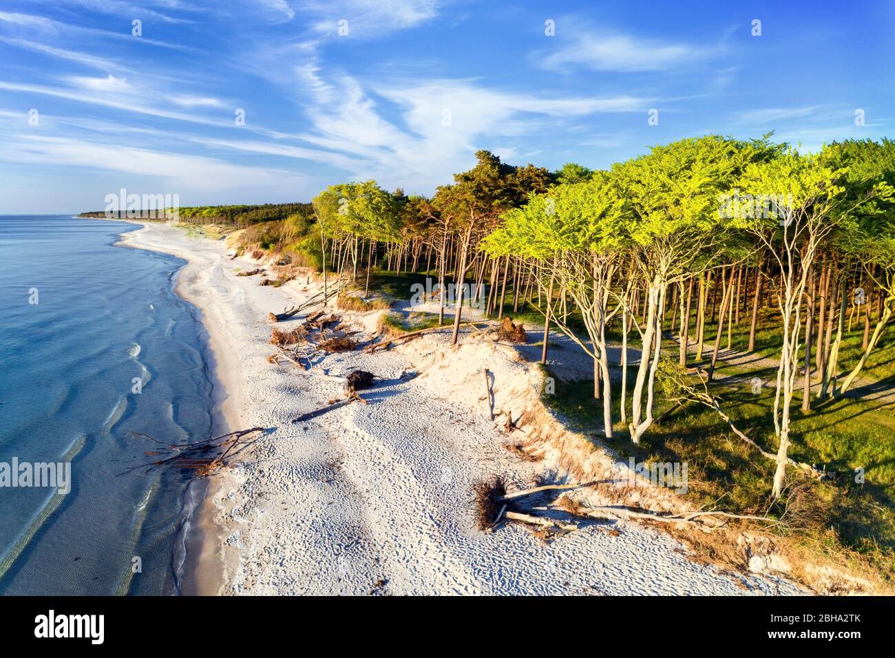 Sommer, Sonne, Blauer Himmel, Strand, Ostsee, Mecklembourg-Poméranie-Occidentale, Deutschland, Europa Banque D'Images