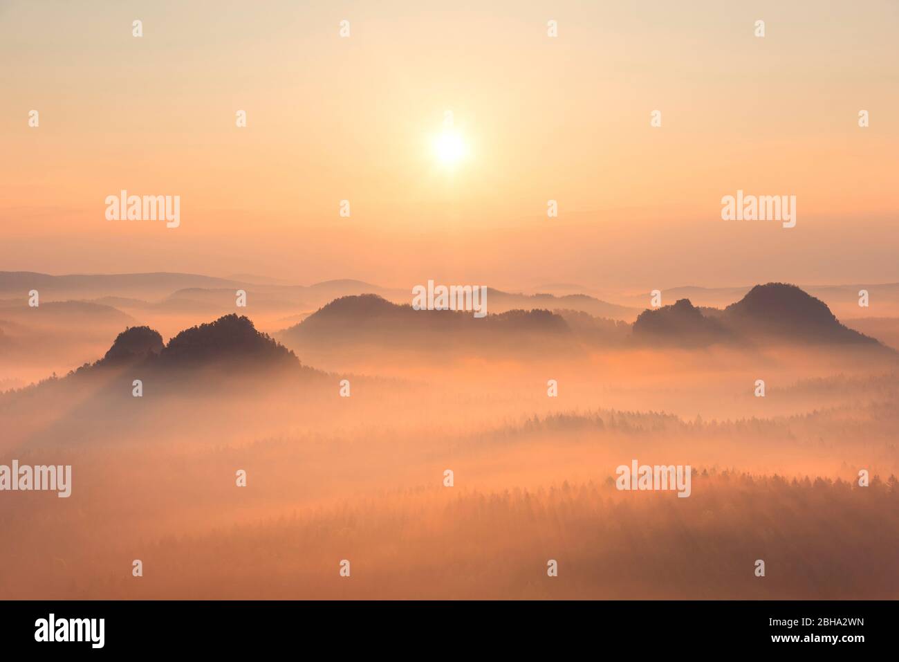 Sonnenaufgang, Nebel, Kleiner Winterberg, Sächsische Schweiz, Mittelgebirge, Deutschland, Europa Banque D'Images