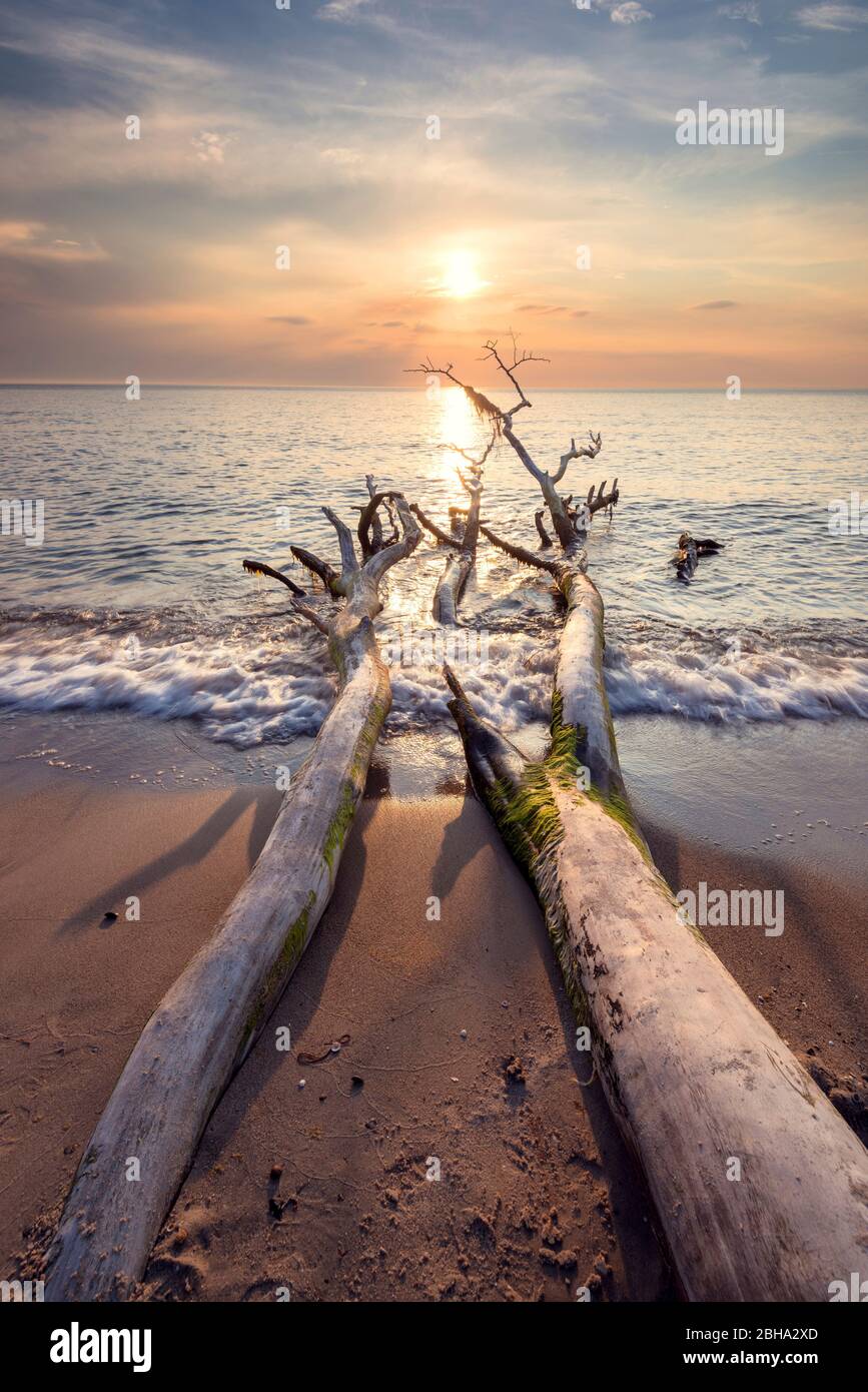 Sommer, Abendstimmung, Sonnenuntergang, Strand, Ostsee, Mecklembourg-Poméranie-Occidentale, Deutschland, Europa Banque D'Images