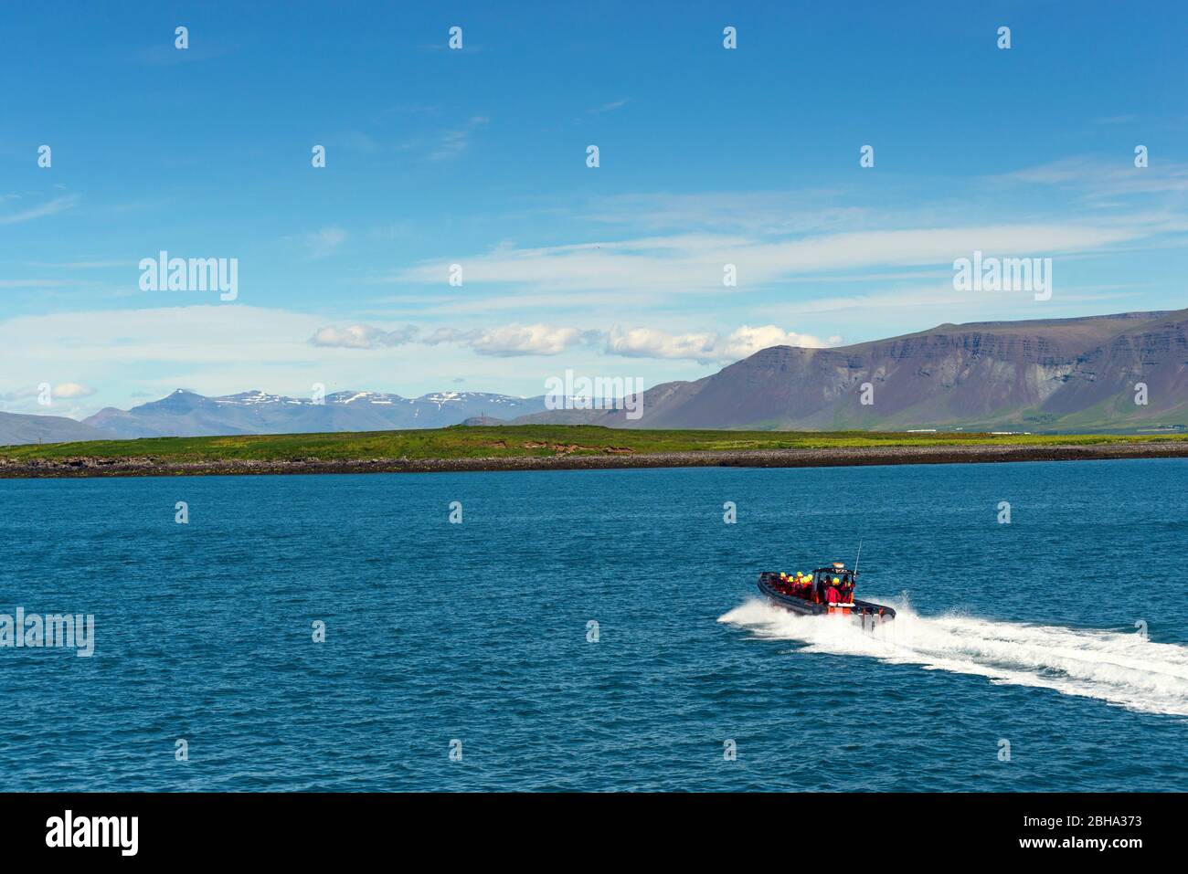 Bateau, observation des baleines, hors-bord, zodiaque, baie, Reykjavik, Islande, Europe Banque D'Images