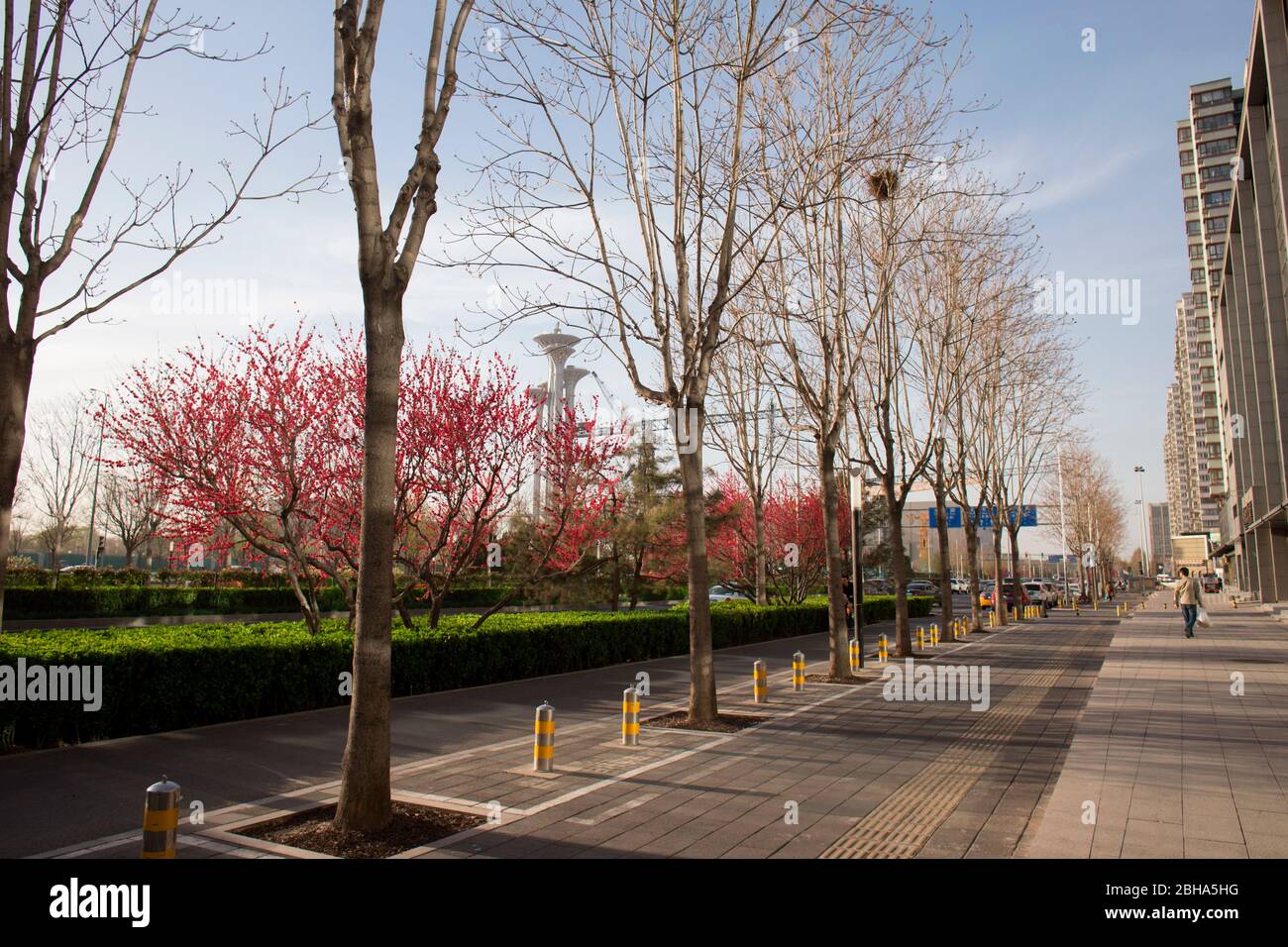 Scène de rue à Beijing, tour d'observation du parc olympique en arrière-plan, Chine Banque D'Images