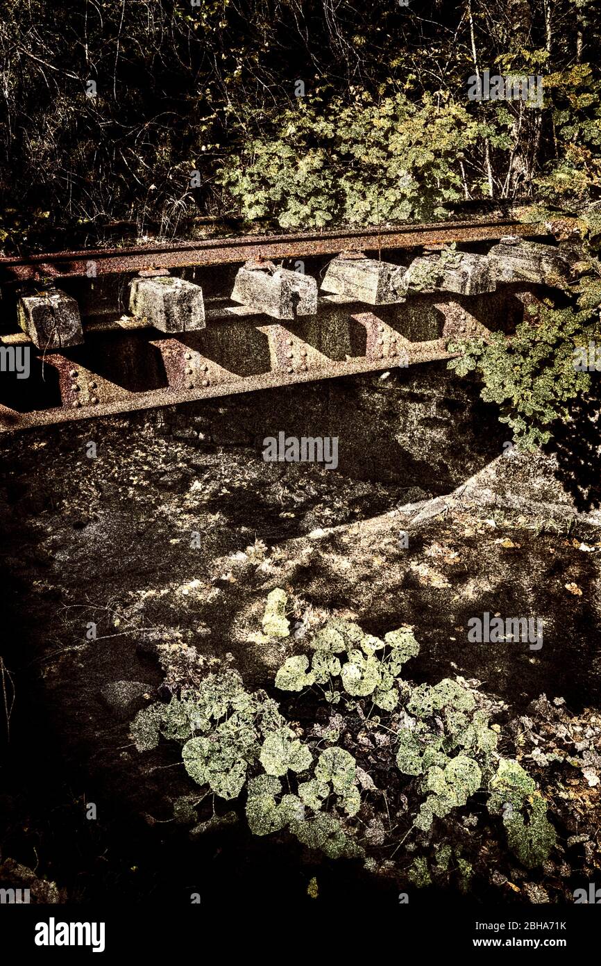 Pont, chemin de fer, forêt, buissons, traité numériquement, RailArt Banque D'Images
