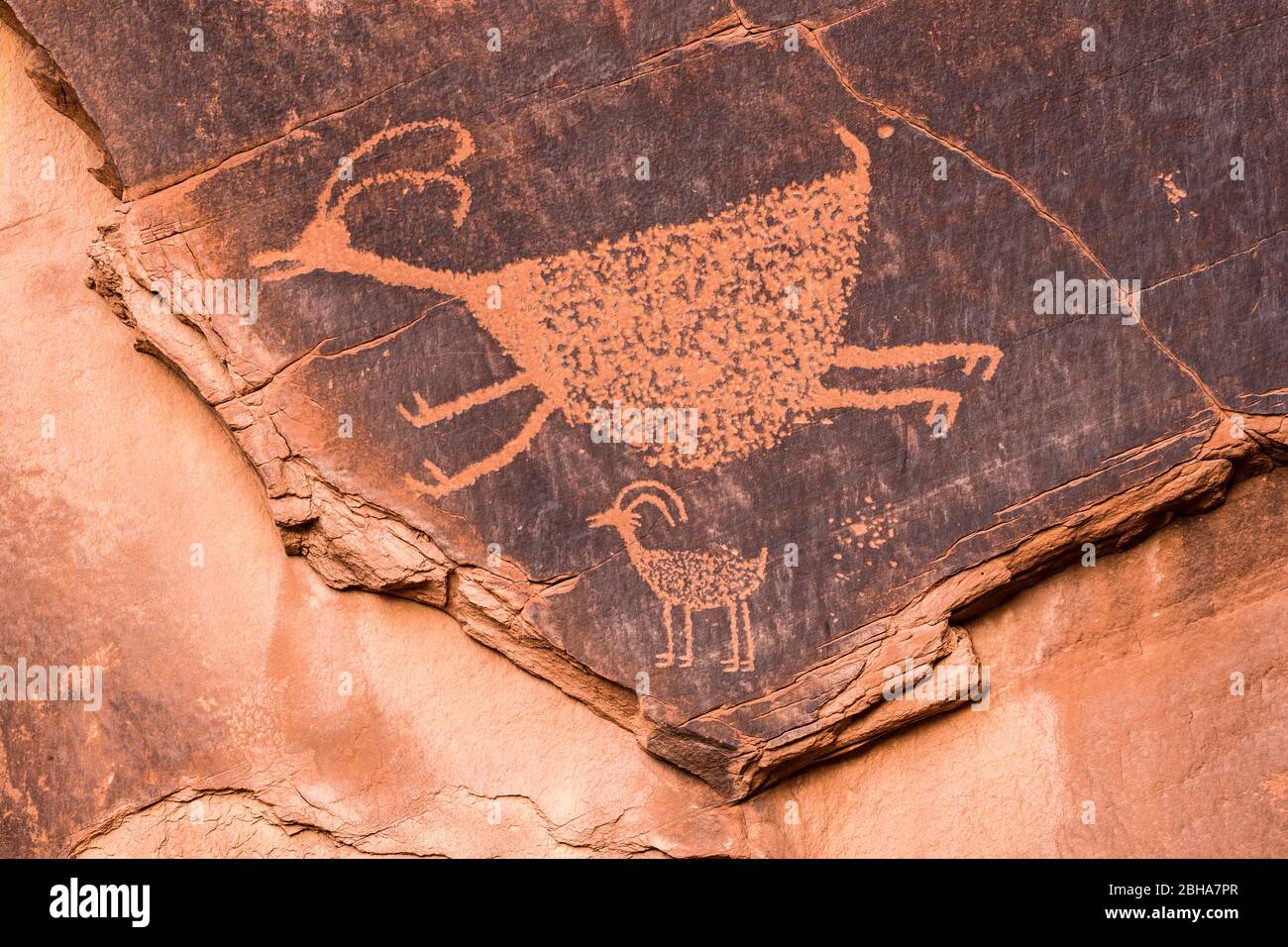 Gros plan des pétroglyphes, Utah, États-Unis Banque D'Images