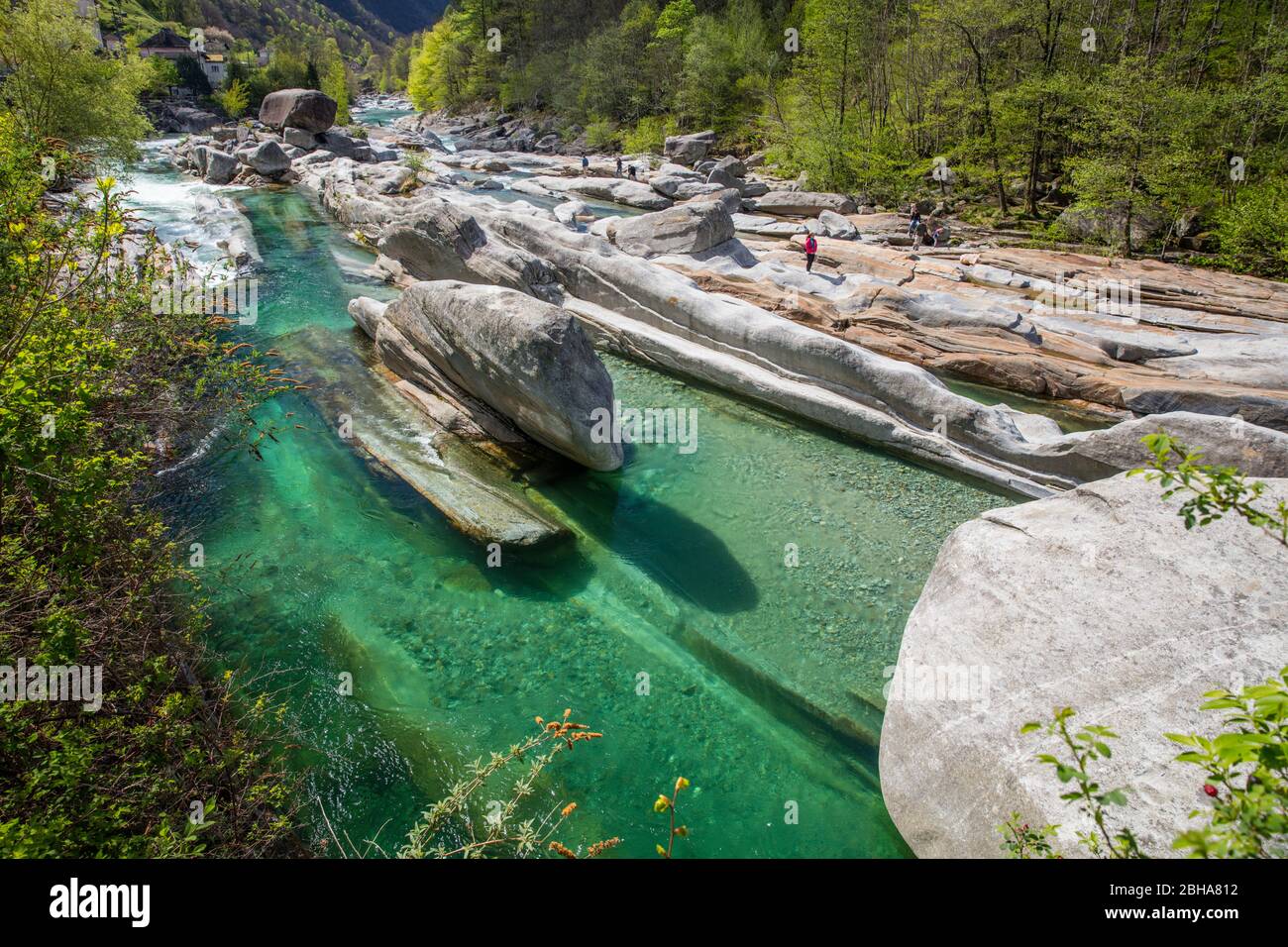 Suisse, Alpes, Tessin, Locarno, Verzasca Valley, Verzasca, eau verte, roches lisses Banque D'Images