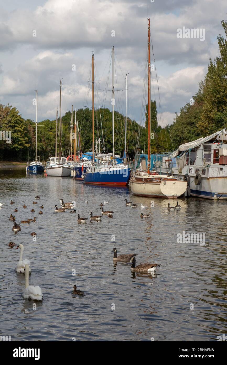 Yachts amarrés à la marina de l'île Spike à Widnes, partie du canal Sankey, qui mène par des portes de écluses à l'estuaire de Mersey Banque D'Images