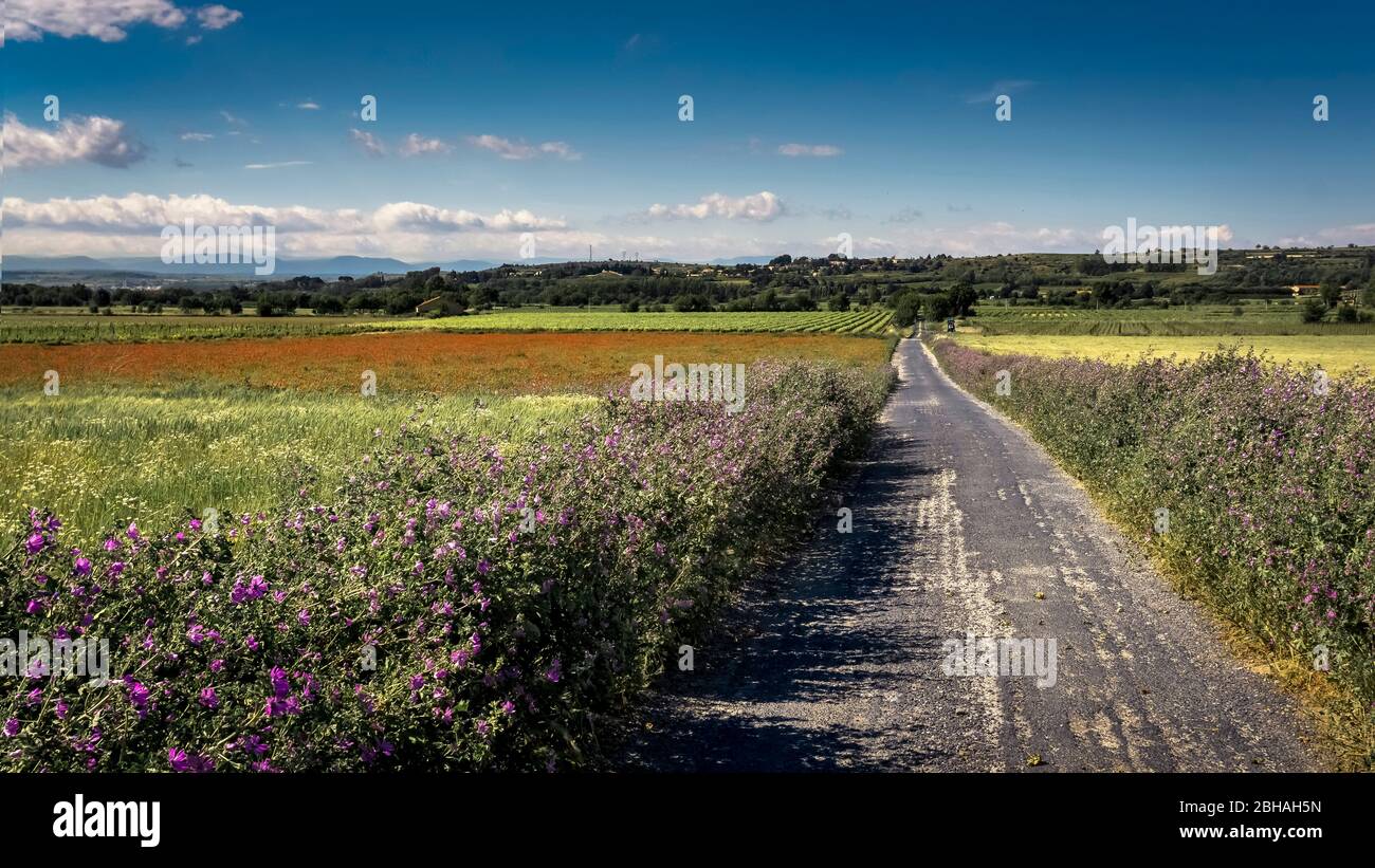 Schmaler Feldweg bei Poilhes im Frühling Banque D'Images