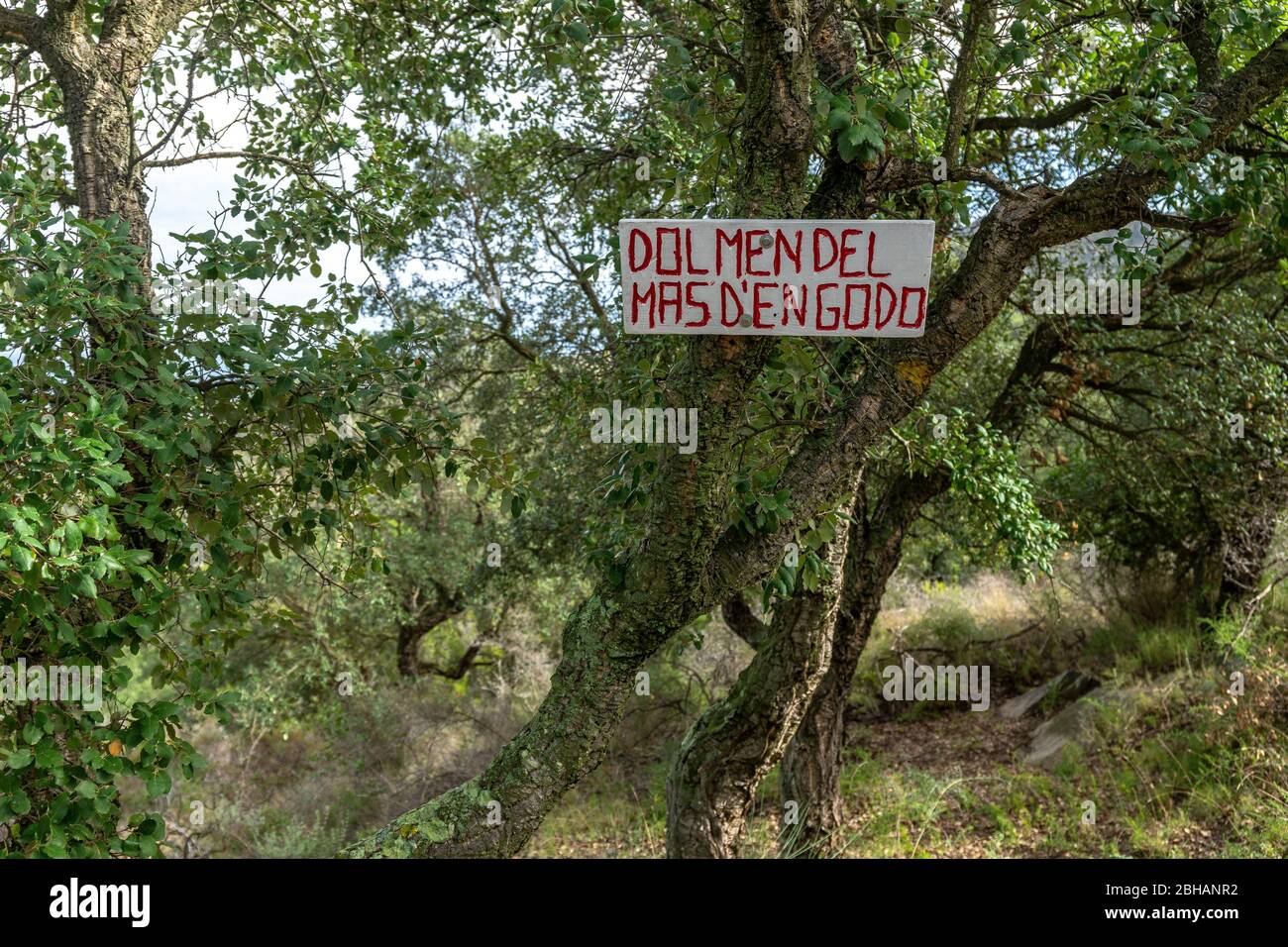 Europe, Espagne, Catalogne, Costa Brava, inscrivez-vous au parc naturel du Cap de Creus sur la Costa Brava Banque D'Images