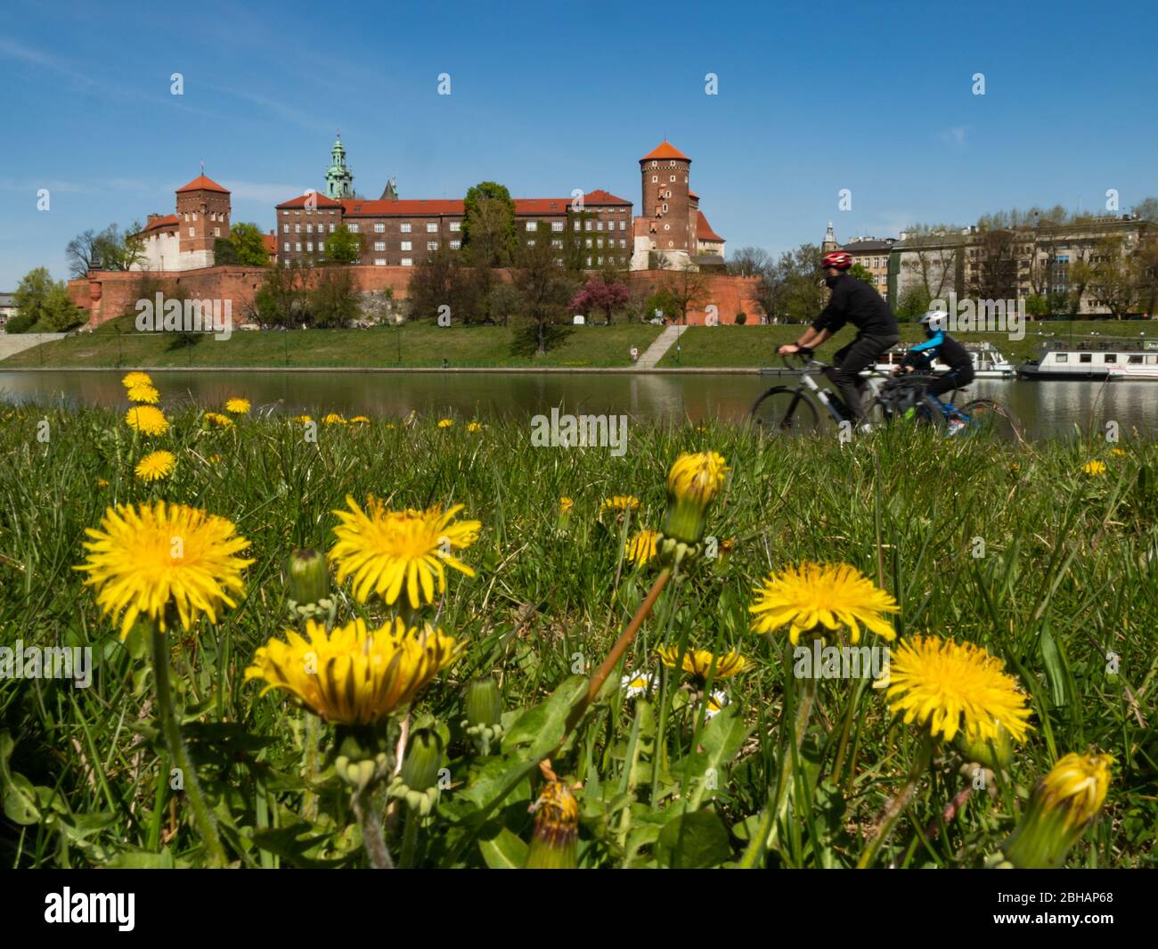 Cracovie/Pologne - 23/04/2020. Ancienne résidence royale de la monarchie polonaise, Château de Wawel, Cracovie, Pologne. Printemps, vue depuis le boul de la Vistule Banque D'Images