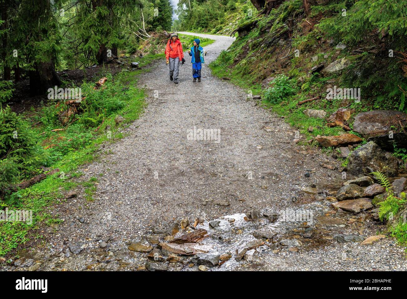 Europe, Autriche, Tyrol, Neustift dans la vallée de Stubai, mère et fils marchez sur un chemin forestier le Wilde-Wasser-Weg Banque D'Images