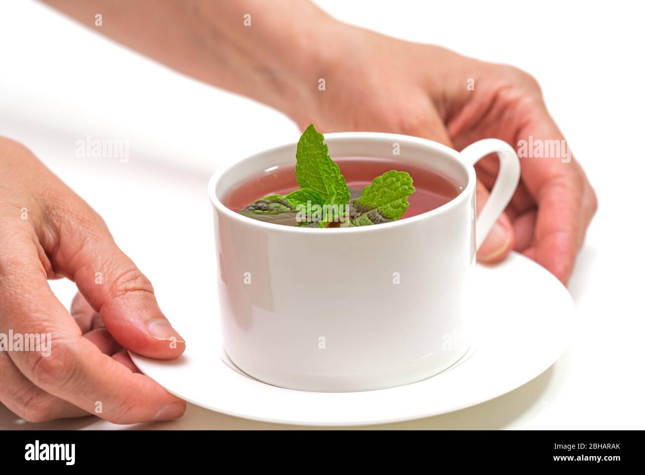 Tasse de tisanes avec feuilles de menthe gros plan sur fond blanc, mains de femme Banque D'Images